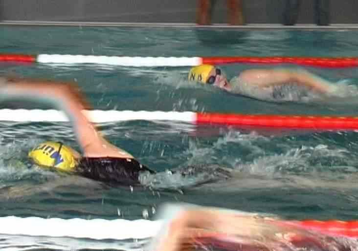 Startseite Schwimmen